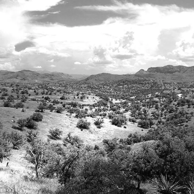 A black-and-white valley of scrub and scattered trees under a tall bank of cloud.