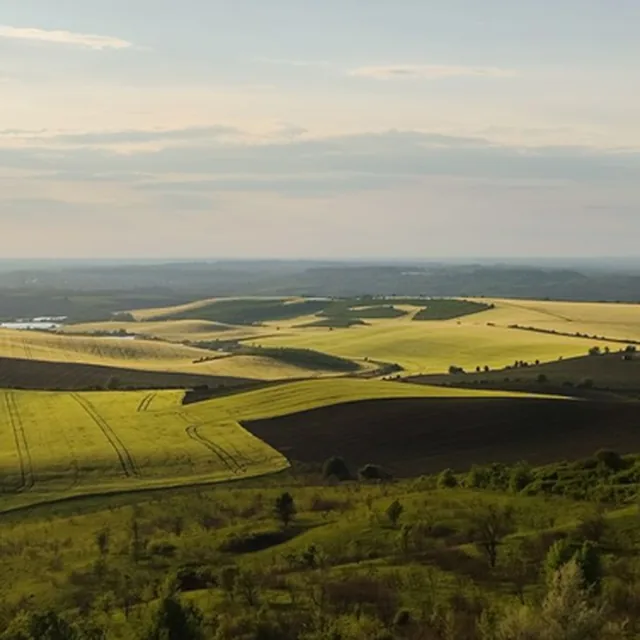 Farmland at golden hour, strips of yellow and green running away to a low horizon.